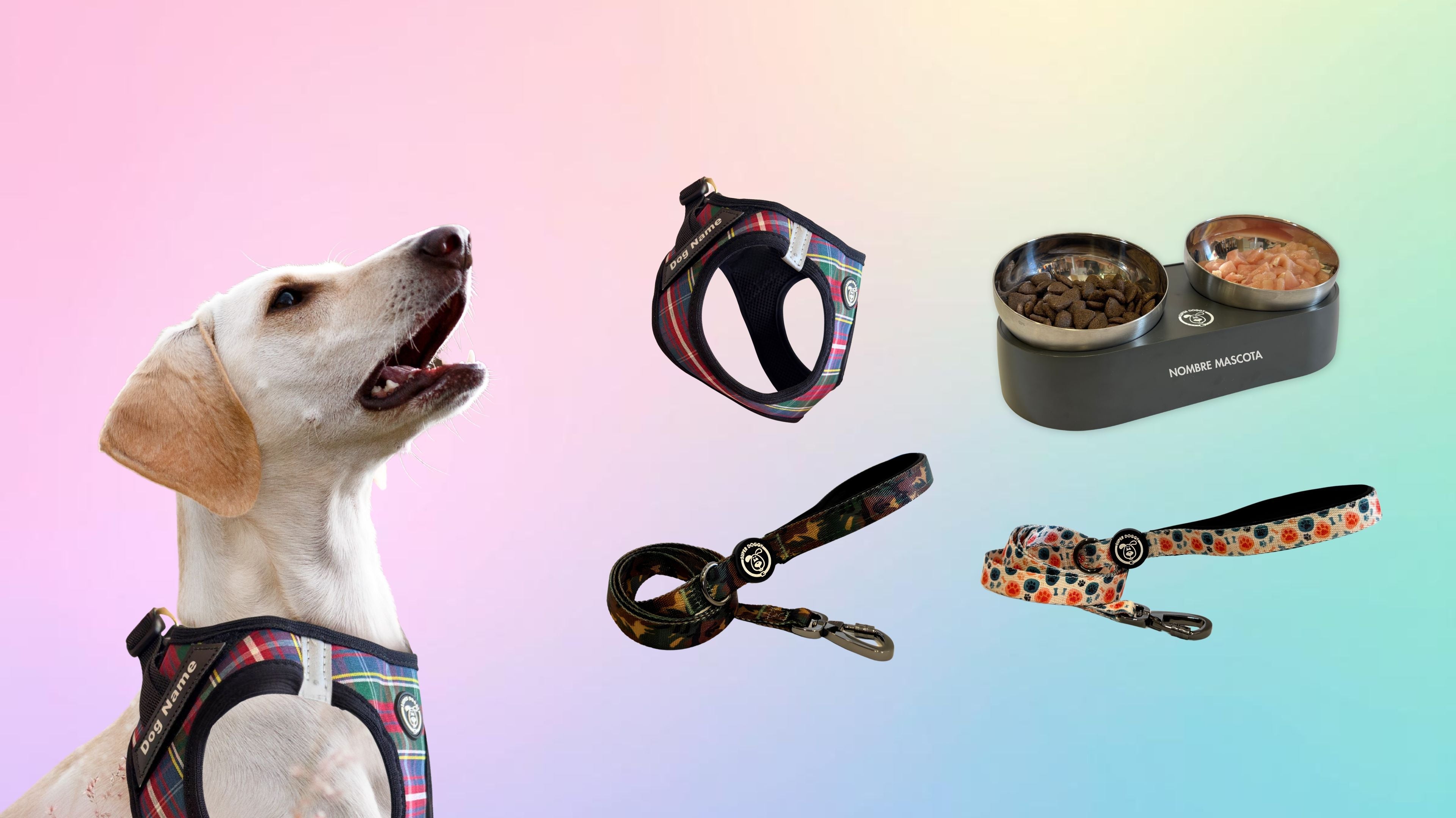 Novedades en accesorios para perros