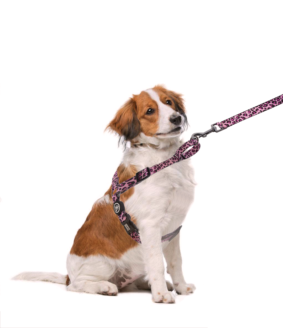 Pink Leopard Arnés Antitiones Perro Easy Walk + Correa