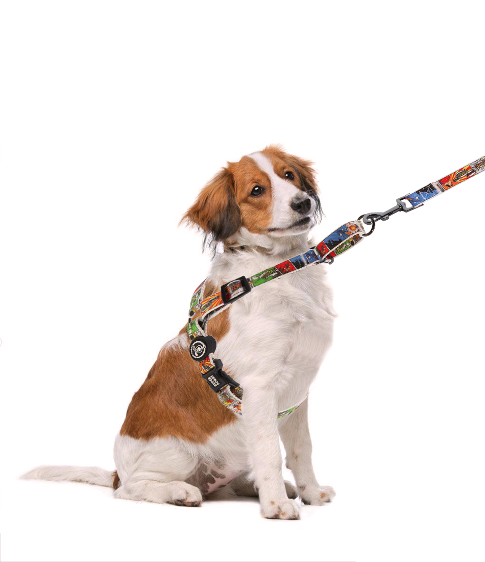 Cómic Arnés Antitiones Perro Easy Walk + Correa