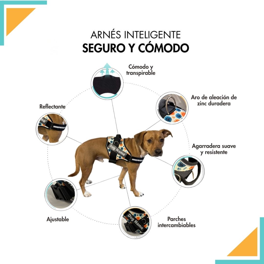 Arnés Pro Bones and Paws, personalizado con el nombre de tu perro, seguro y cómodo. Super Dogy