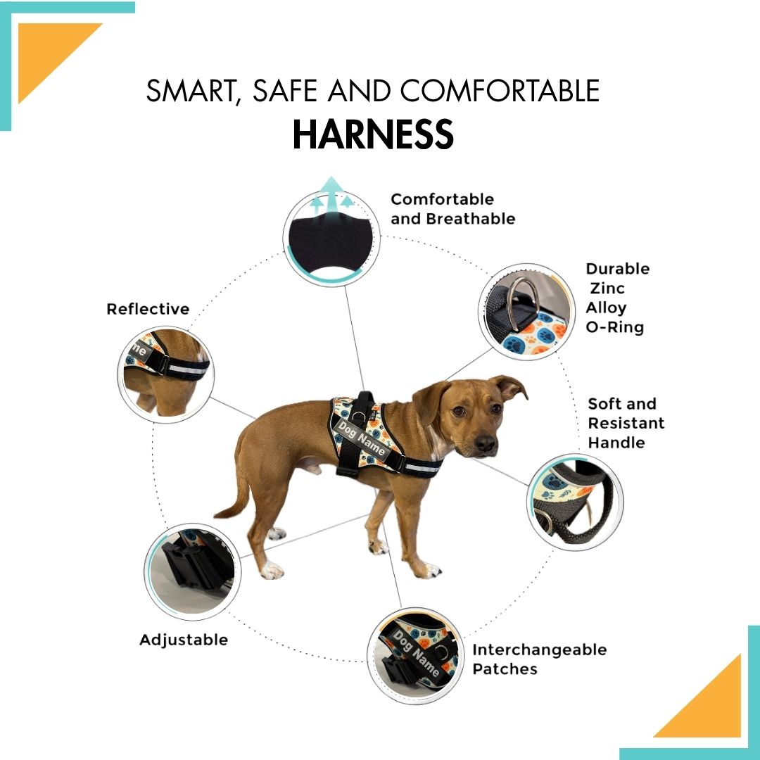 smart, safe and comfortable bone and paws harness made in Spain