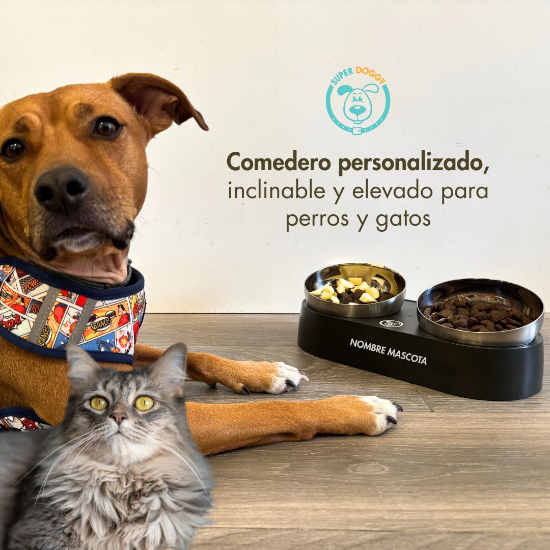 Comedero SUPER DOGGY personalizado con el nombre de la mascota, grabado en el soporte, ideal para perros pequeños y gatos