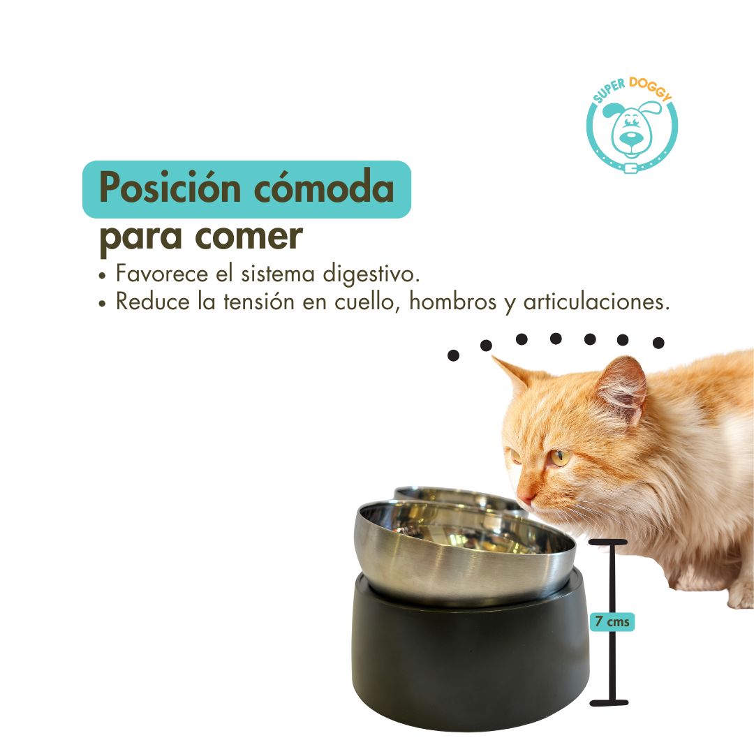 Posición cómoda para que tu perro o gato coma del Comedero SUPER DOGGY personalizado con el nombre de la mascota