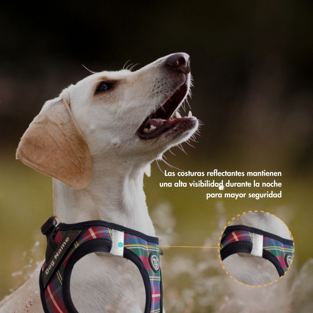 El Arnés Body Personalizado Escocés de Super Doggy tiene dos tiras reflectantes