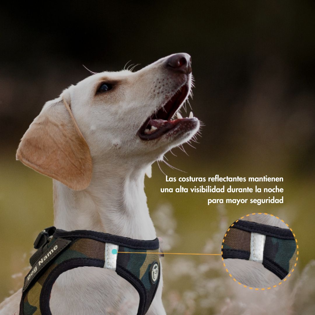 perro-con-arnes-body-camuflaje-hecho-en-espana