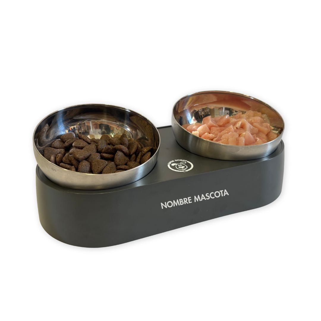 Comedero elevado personalizado SUPER DOGGY para perros y gatos, acero inoxidable antideslizante con soporte ergonómico y nombre personalizado