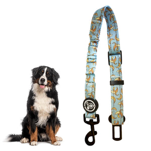 Cinturón de Seguridad Perro Coche | Diseño Exclusivo