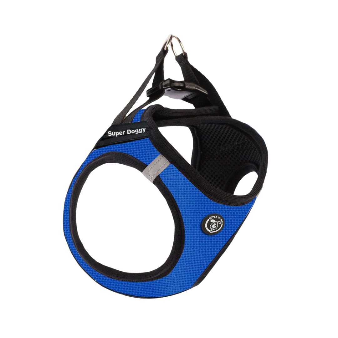 arnes, perro, body, azul, blue, arneses, personalizado, perros, gatos, gato, accesorios, paseos, perro, super doggy
