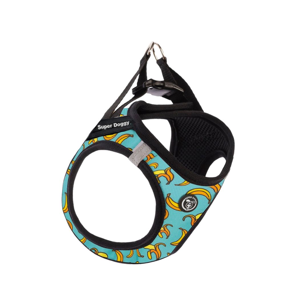 arnes, perro, body, blue, bananas, rosa, arneses, personalizado, perros, gatos, gato, accesorios, paseos, perro, super doggy