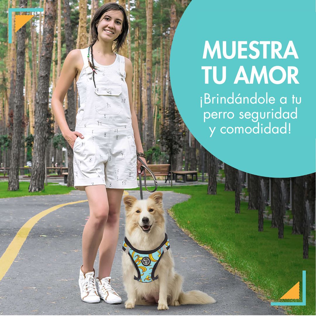 arneses, body, blue, bananas, arnes, personalizado, perros, accesorios, paseos, perro, super doggy
