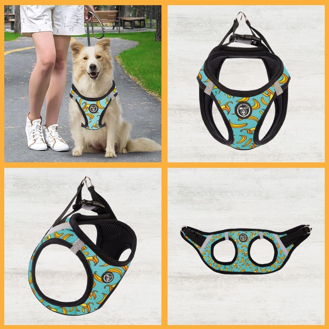 arneses, body, blue, bananas, arnes, personalizado, perros, accesorios, paseos, perro, super doggy