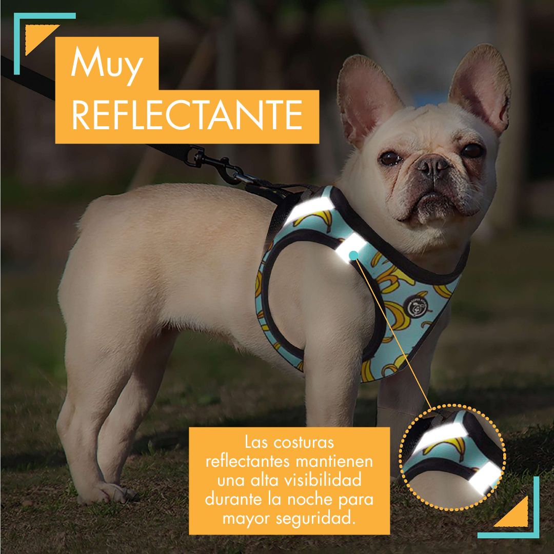arneses, body, blue, bananas, arnes, personalizado, perros, accesorios, paseos, perro, super doggy