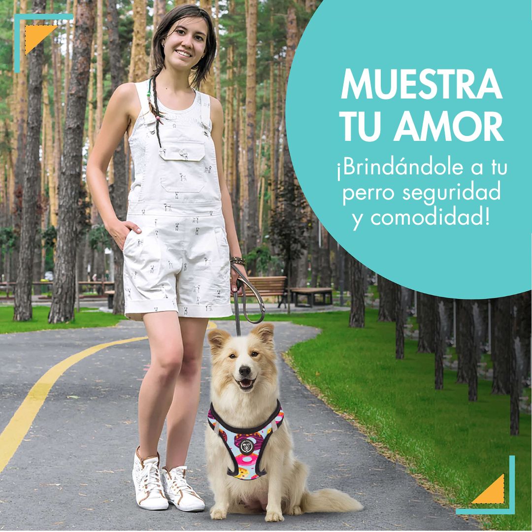arneses, body, donuts, donas, arnes, personalizado, perros, accesorios, paseos, perro, super doggy