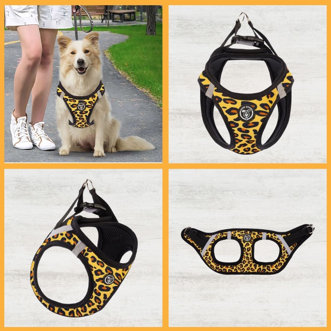 arneses, body, leopard, leopardo, arnes, personalizado, perros, accesorios, paseos, perro, super doggy
