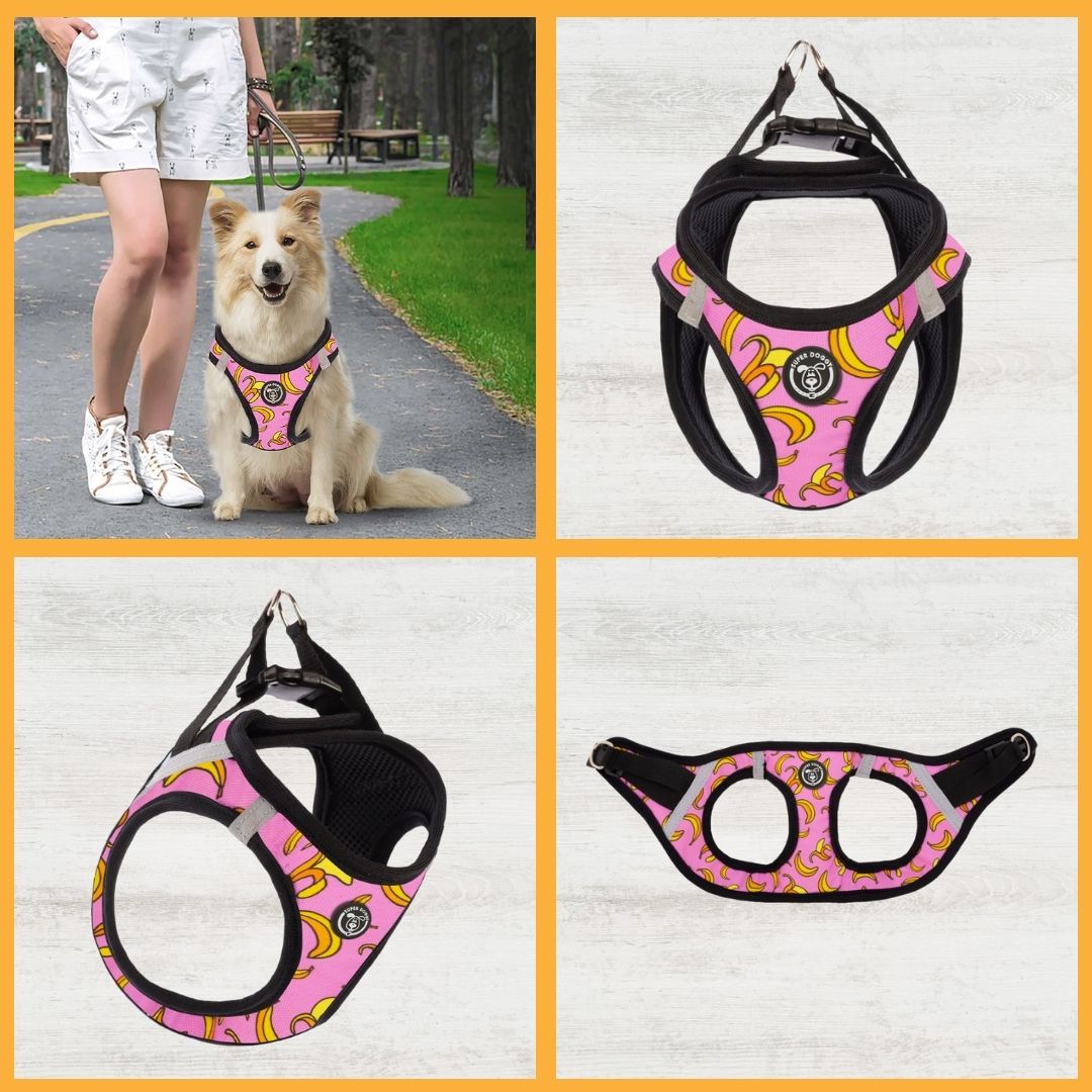 arneses, body, pink, bananas, arnes, personalizado, perros, accesorios, paseos, perro, super doggy