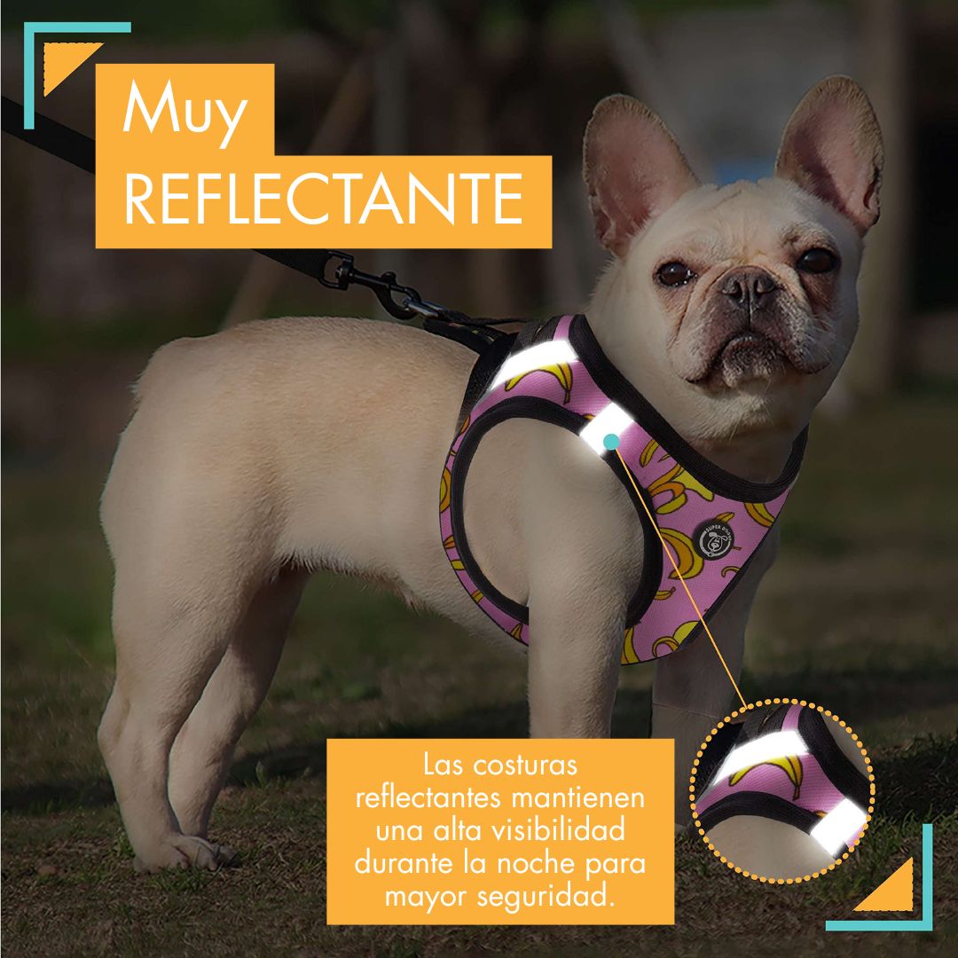 arneses, body, pink, bananas, arnes, personalizado, perros, accesorios, paseos, perro, super doggy