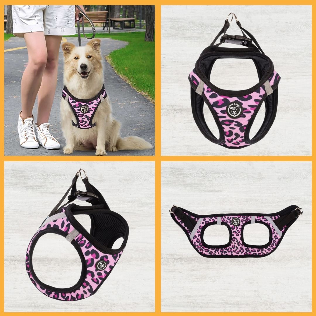 arneses, body, pink, leopard, rosa, rosado, leopardo, arnes, personalizado, perros, accesorios, paseos, perro, super doggy