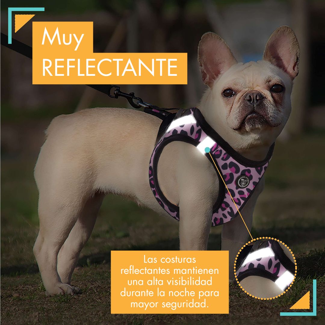 arneses, body, pink, leopard, rosa, rosado, leopardo, arnes, personalizado, perros, accesorios, paseos, perro, super doggy
