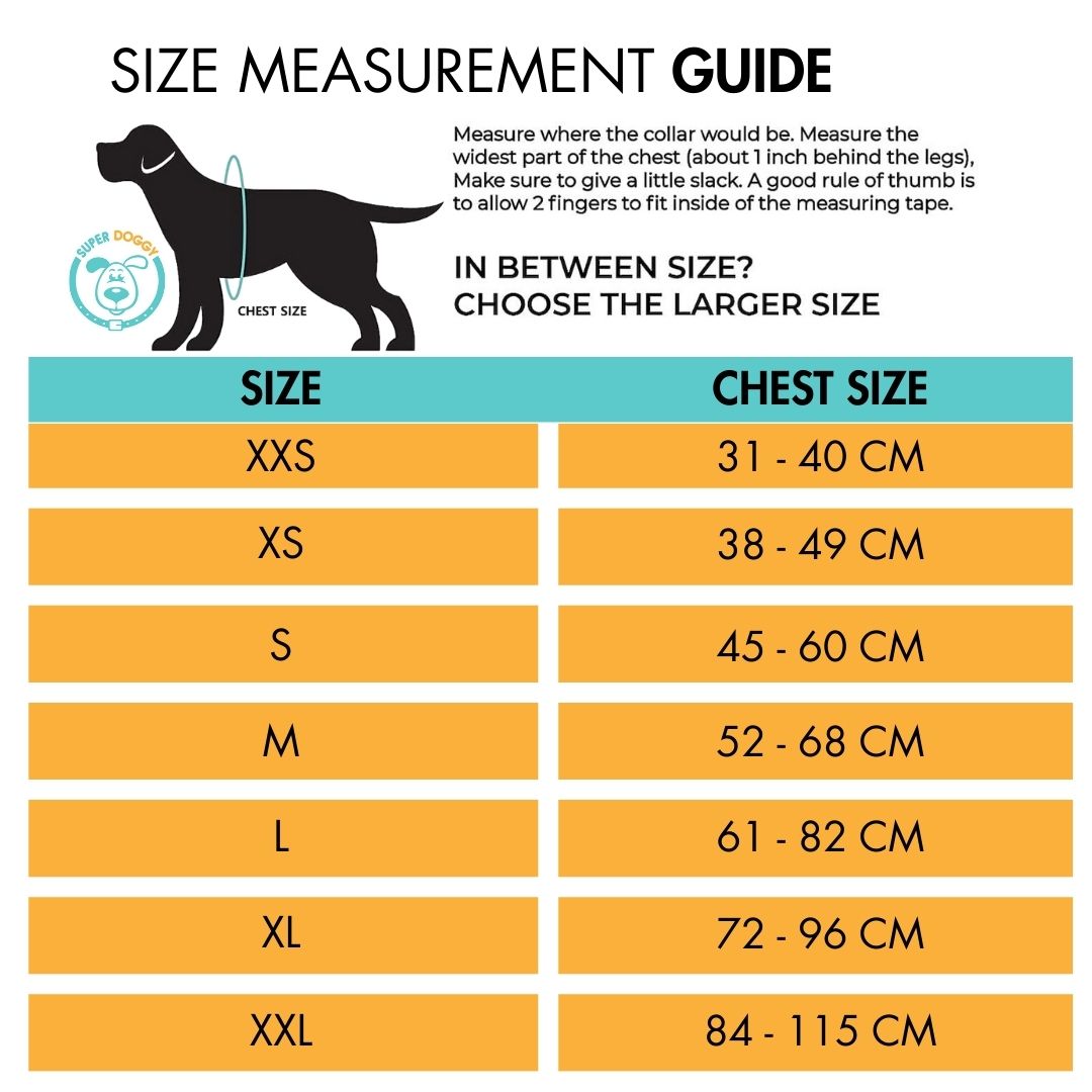 arneses, personalizados, arnes, personalizado, perros, accesorios, paseos, perro, super doggy