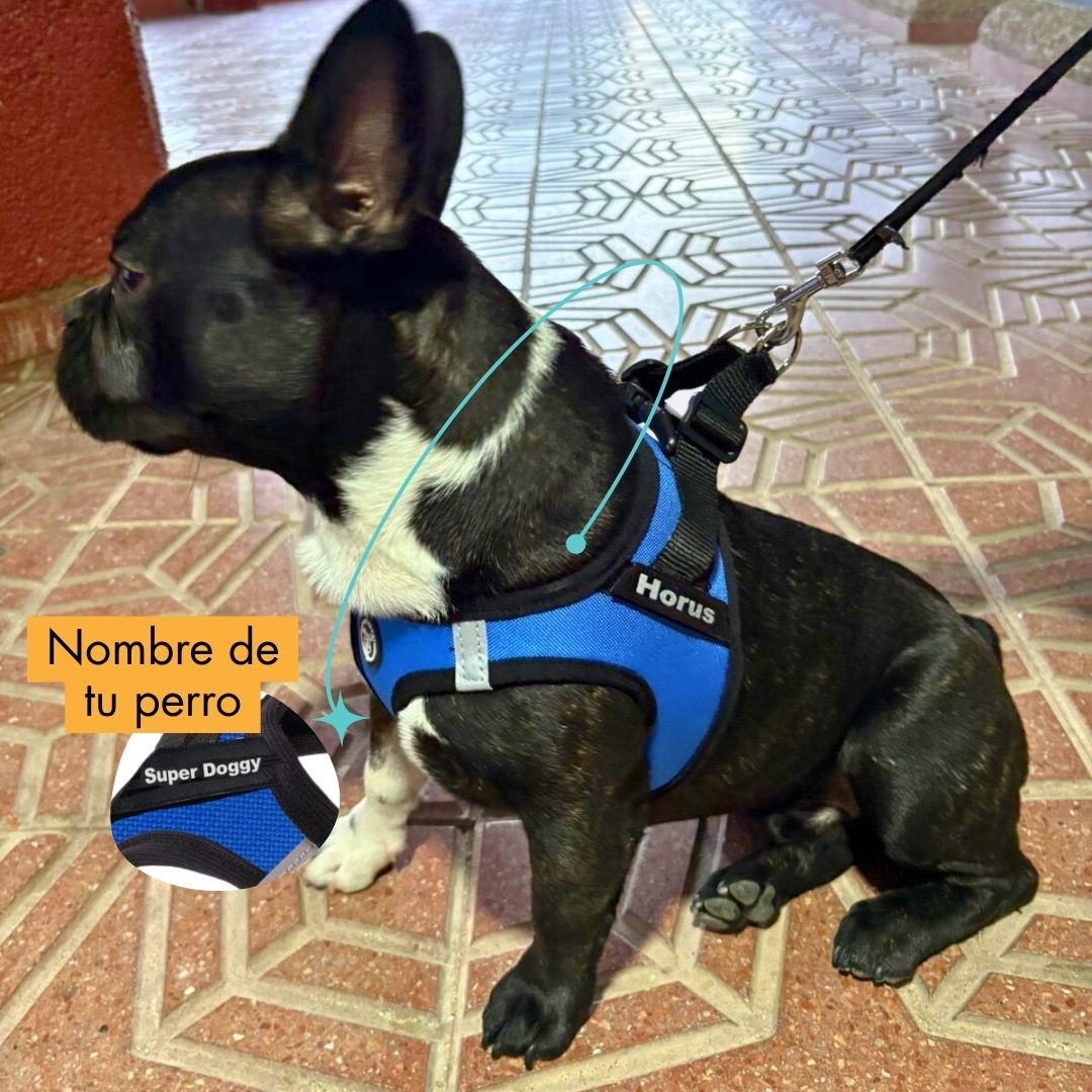 arnes-body-personalizado-perro-gato-color-azul