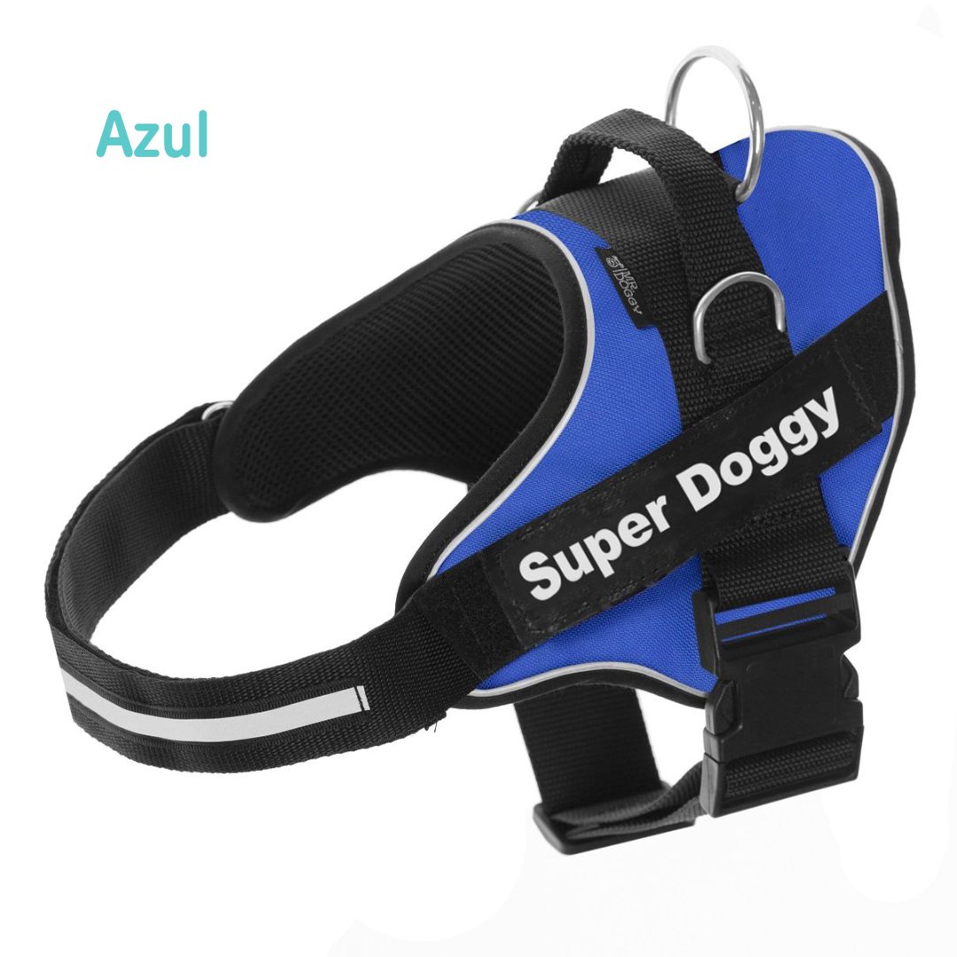 personaliza el Arnés Pro Azul de tu perro con su nombre