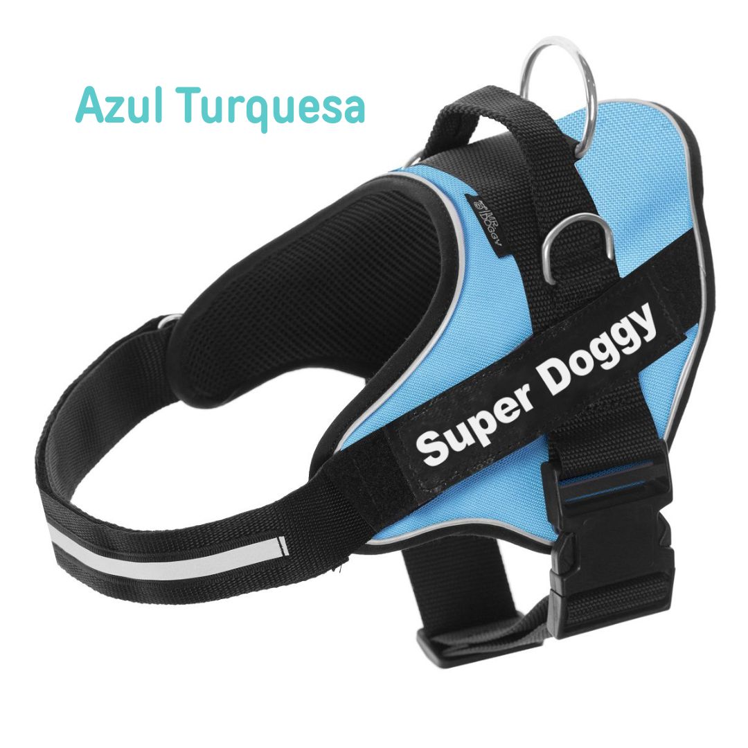 personaliza el Arnés Pro Azul Turquesa de tu perro con su nombre