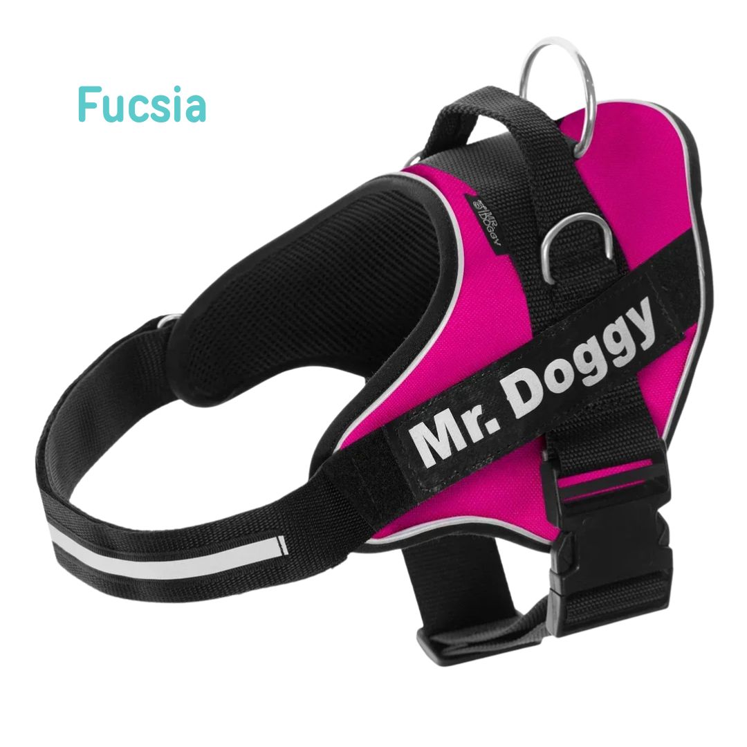 personaliza el Arnés Pro Fucsia de tu perro con su nombre