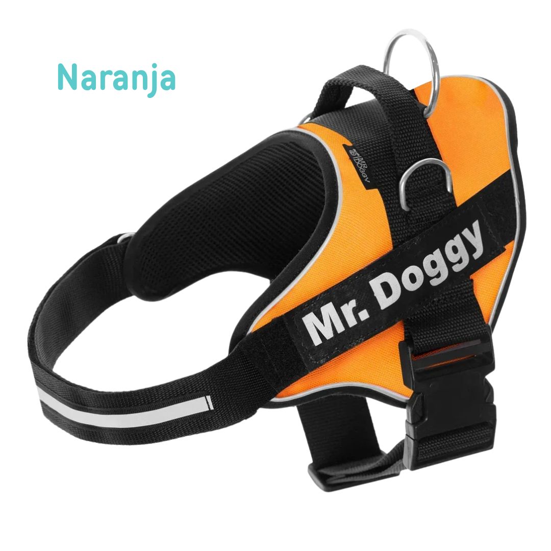 personaliza el Arnés Pro Naranja de tu perro con su nombre