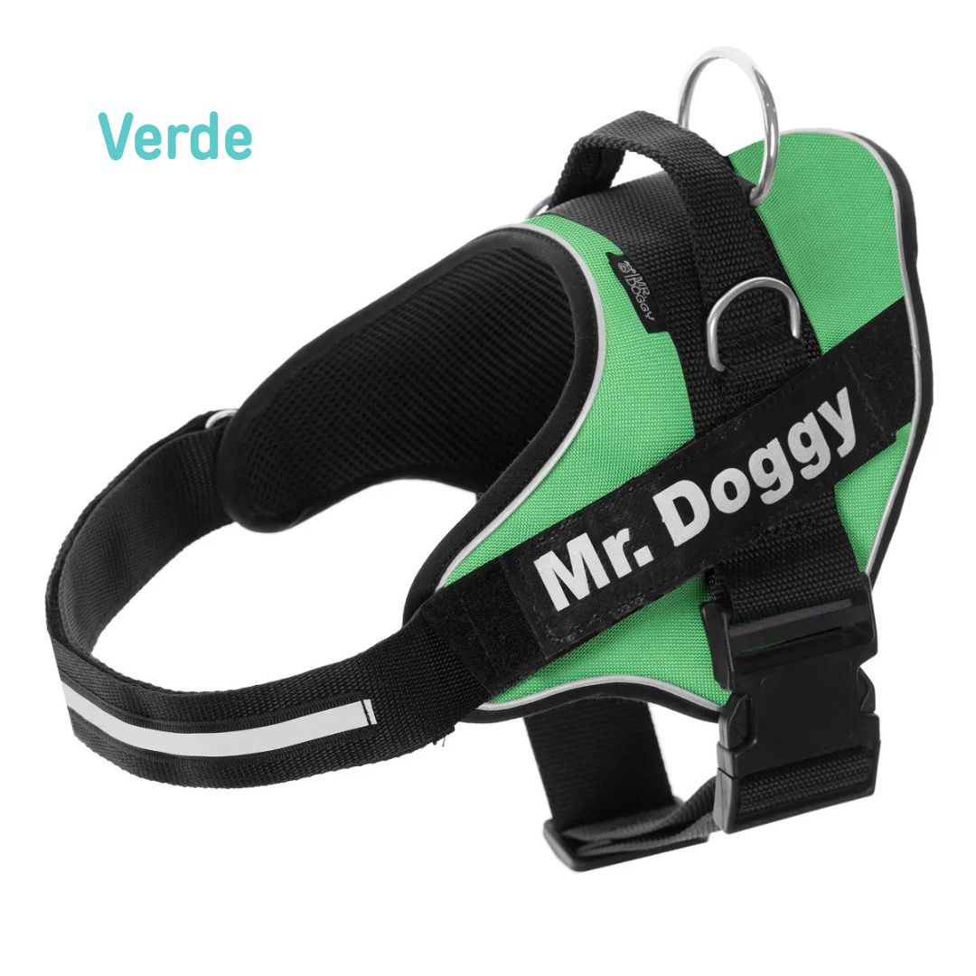 personaliza el Arnés Pro Verde de tu perro con su nombre