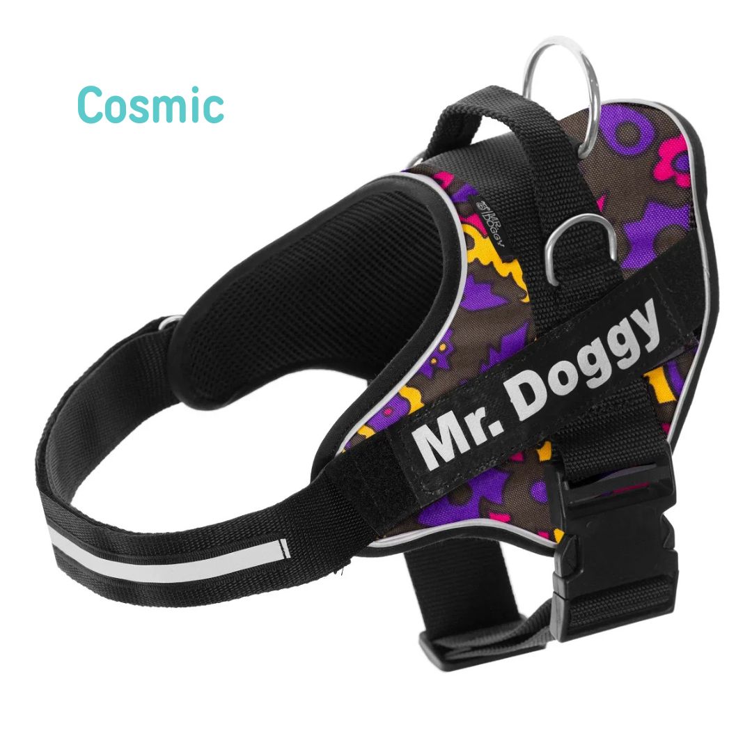 personaliza el Arnés Pro Cosmic de tu perro con su nombre