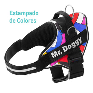 personaliza el Arnés Pro Estampado de Colores de tu perro con su nombre