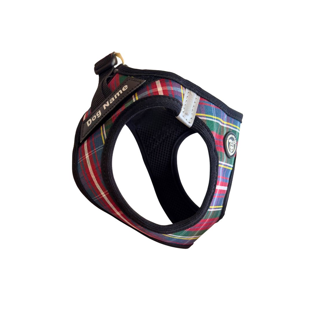 Arnés personalizado con el nombre de tu perro o gato de diseño escocés
