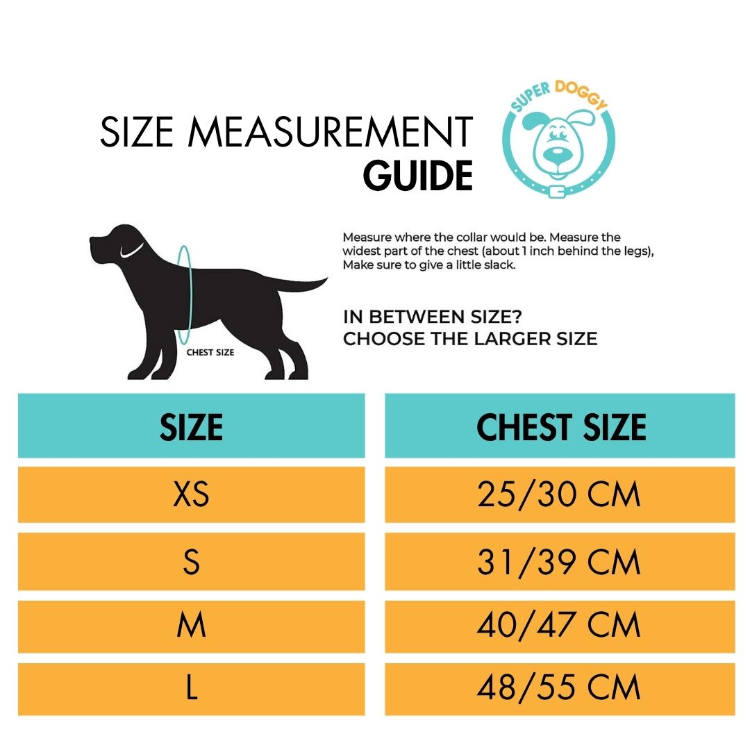 perro-con-arnes-body-hecho-a-medida-tallas-perros-ingles
