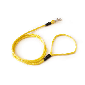 Correa para perro cordón de 6 mm  amarilla