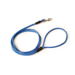 Correa fina azul para perro con mosquetón metálico, fondo blanco, accesorio resistente.