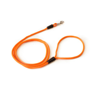 Correa fina para perro color naranja con mosquetón metálico, fondo blanco