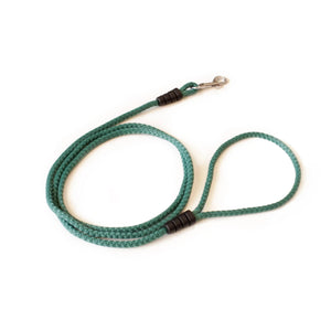 Correa fina verde para perro, material trenzado, mosquetón metálico, fondo blanco