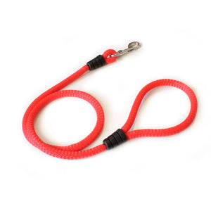 Correa para perro de cuerda roja con mosquetón metálico, fondo blanco.