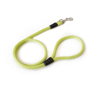 Correa para perro cordón de 12 mm verde pistacho