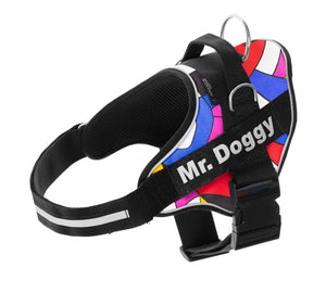 Arnés personalizado para perros y gatos, colores vivos, correa ajustable, etiqueta visible.