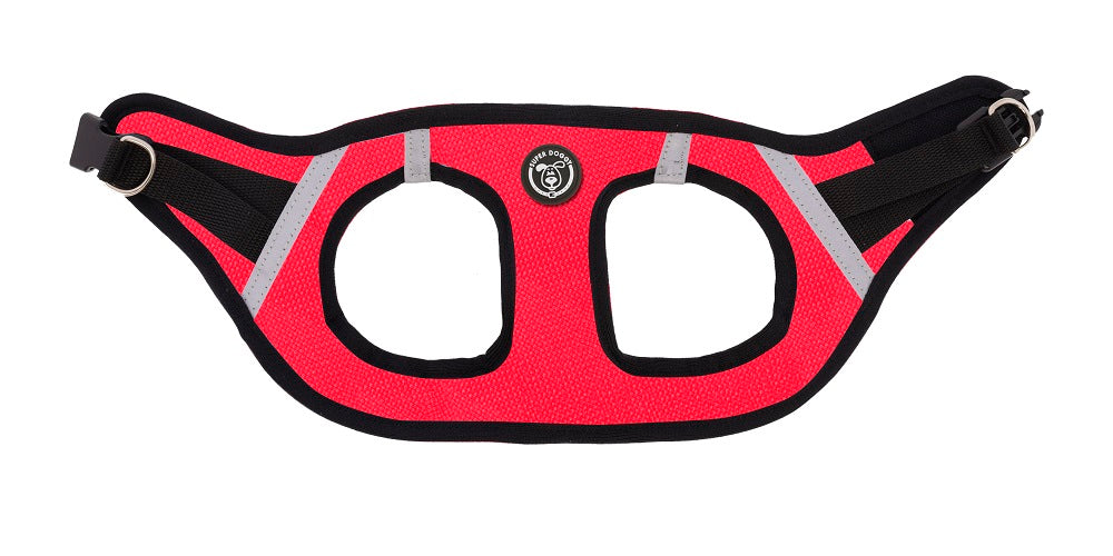 arneses, rojo, body, arnes, personalizado, perros, accesorios, paseos, perro, super doggy