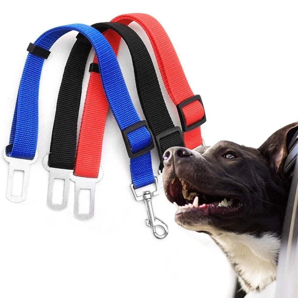 Cinturones de seguridad para perro en colores azul, rojo y negro, junto a perro feliz en coche