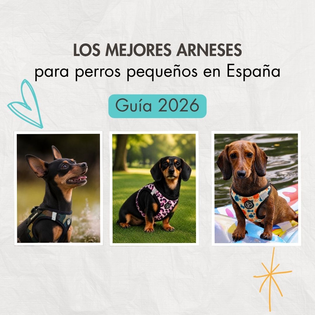 Los mejores arneses para perros pequeños en España (Guía 2026)