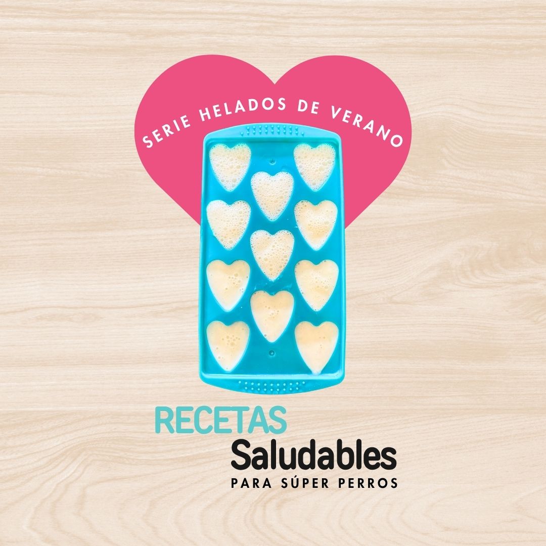 Recetas de helados saludables para perros en verano