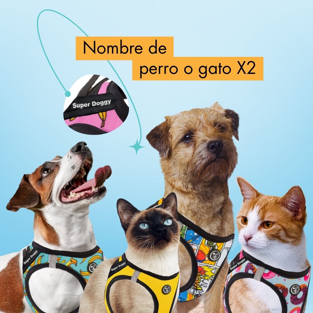 Arneses Body Personalizados