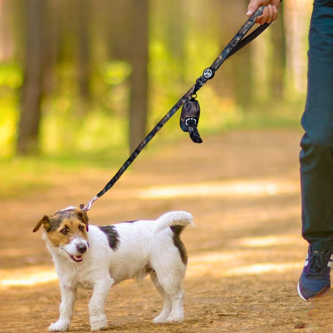 correa, arnes, personalizado, hecho en españa, arneses, personalizados, perros, accesorios, paseos, perro, super doggy
