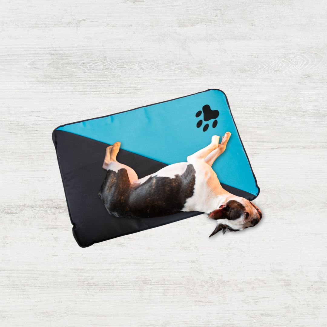 arnes body para perro, arnes para perro, colchoneta, colchon personalizado, perros, accesorios, paseos, perro, super doggy