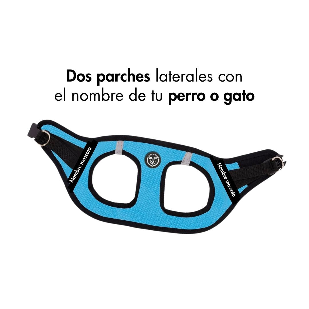 perro-pequeno-gato-con-arnes-personalizado-azul-turquesa