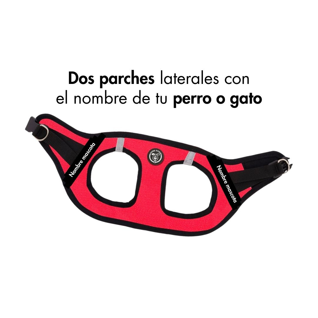 perro-pequeno-con-arnes-personalizado-rojo