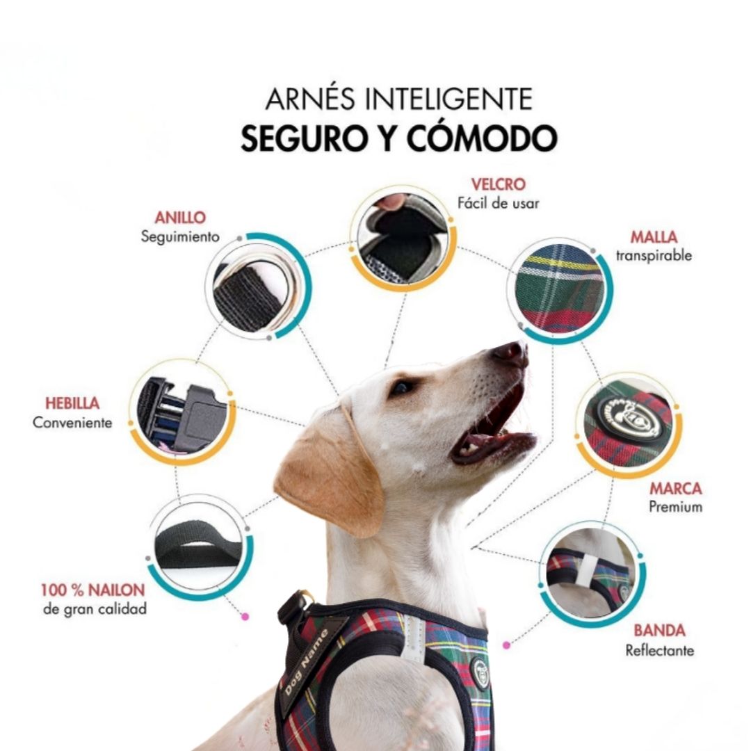 El Arnés Body Personalizado Escocés de Super Doggy es seguro y cómodo